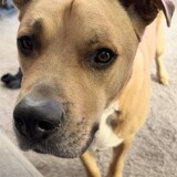 Entry image for Charlie