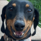 Entry image for Mr. Luke