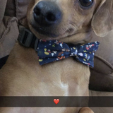 Entry image for Mr. Brown