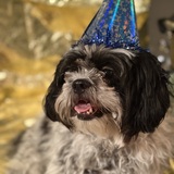 Entry image for Georgie
