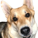 Entry image for Zoey