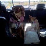 Entry image for Vick and Nakomi