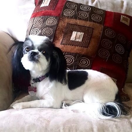 Entry image for Georgie Rae. Clicking this image will show a larger photo