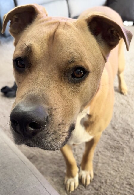 Entry image for Charlie. Clicking this image will show a larger photo