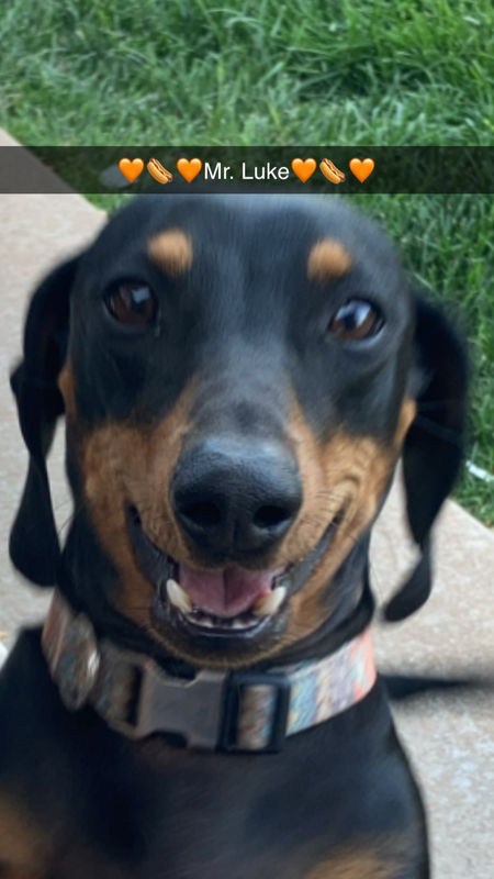 Entry image for Mr. Luke. Clicking this image will show a larger photo