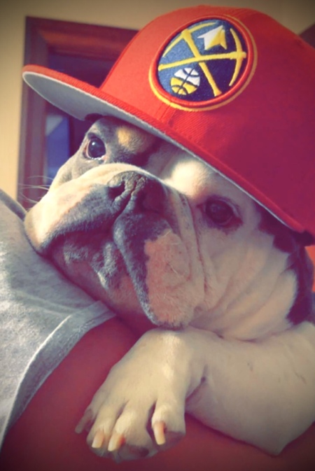 Entry image for Miss Millie. Clicking this image will show a larger photo