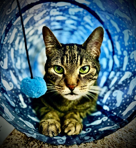 Entry image for Dude. Clicking this image will show a larger photo
