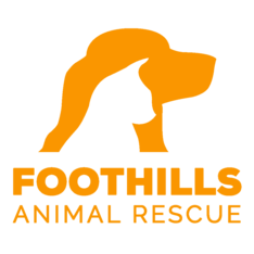 Logo for Foothills Animal Rescue 2027 Photo Contest