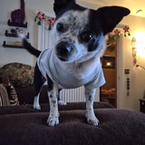 Entry image for Mimi