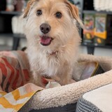 Entry image for Charlie