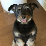 Entry image for Murphy