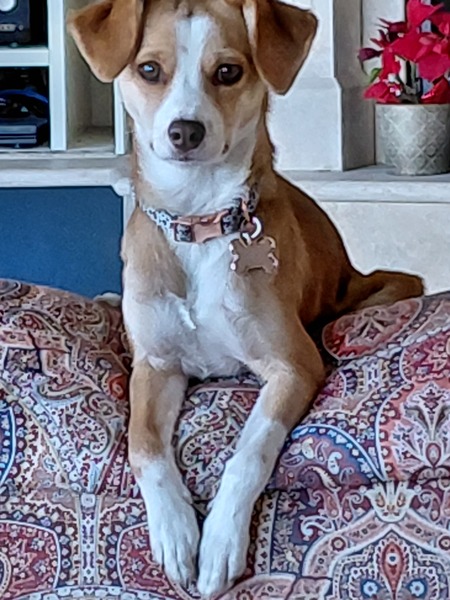 Entry image for Penelope (Was "Happy" at FAR). Clicking this image will show a larger photo