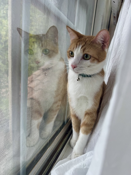Entry image for Tucker. Clicking this image will show a larger photo