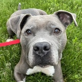 Entry image for Waylon "WayWay"