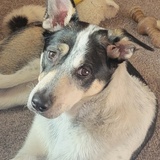 Entry image for Finley