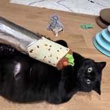 Entry image for Figgy
