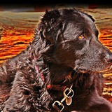 Entry image for Tula