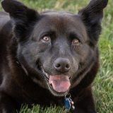 Entry image for Katie Bear