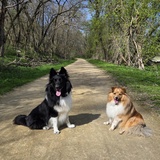Entry image for Roxy and Lulu