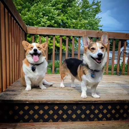 Entry image for Harley and Perrin. Clicking this image will show a larger photo