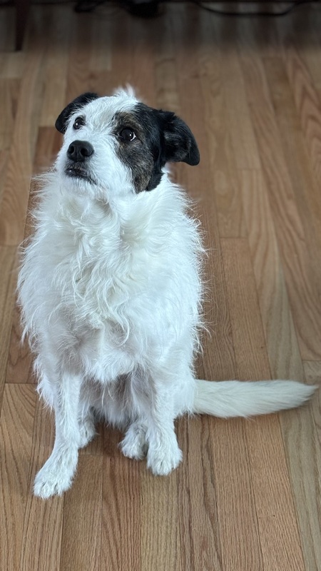 Entry image for Dale. Clicking this image will show a larger photo