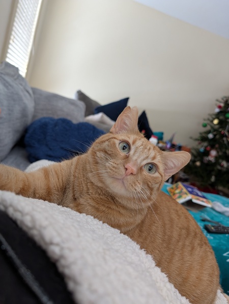 Entry image for Charlie. Clicking this image will show a larger photo