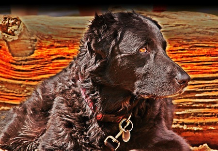 Entry image for Tula. Clicking this image will show a larger photo