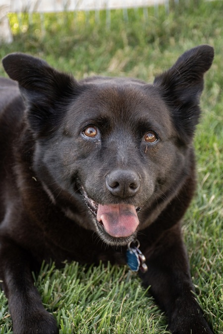 Entry image for Katie Bear. Clicking this image will show a larger photo