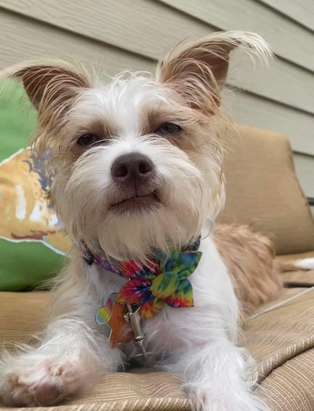 Entry image for Lil Miss Maggie . Clicking this image will show a larger photo