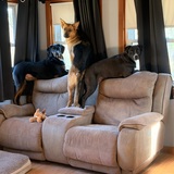 Entry image for Brody and Chloe with their sister allie