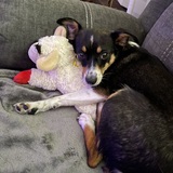 Entry image for Maggie