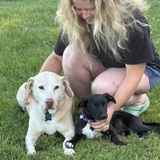 Entry image for Doug (left) & Ellie (right)