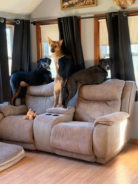 Entry image for Brody and Chloe with their sister allie. Clicking this image will show a larger photo