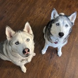 Entry image for Lakota and Moon