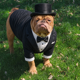 Entry image for MAXIMUS 