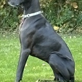 Entry image for Lexi