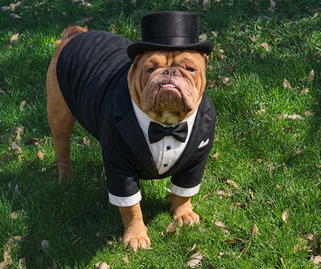 Entry image for MAXIMUS . Clicking this image will show a larger photo