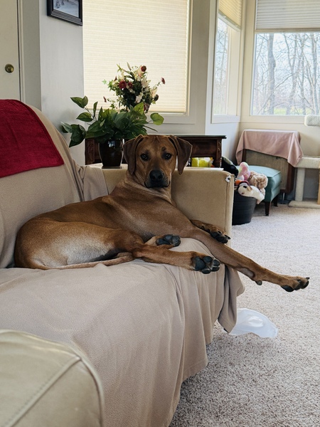 Entry image for Lebo. Clicking this image will show a larger photo
