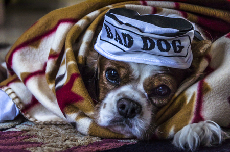 Durzo