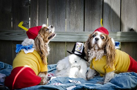 Scout and Durzo
