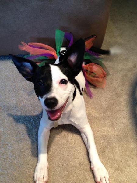 Lucy