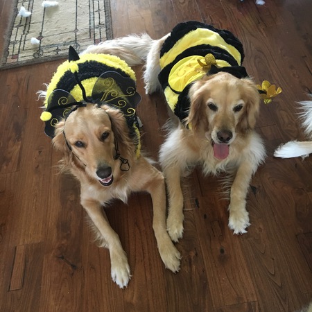 Trudie & Candy