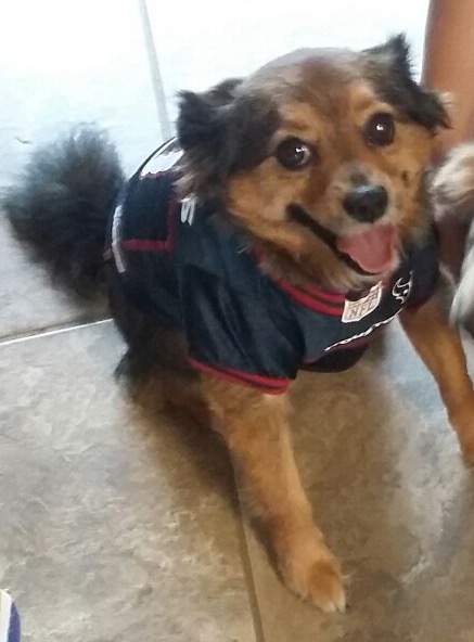 Bailey