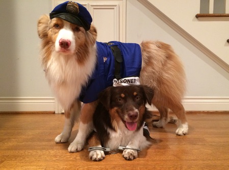 Sheila and Roo