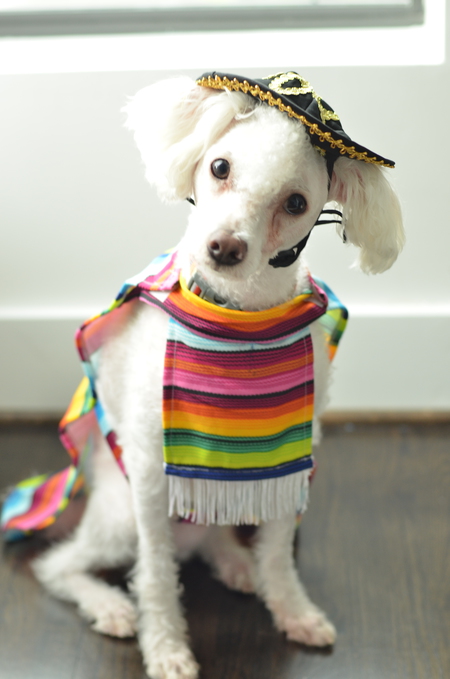 Señor Charles