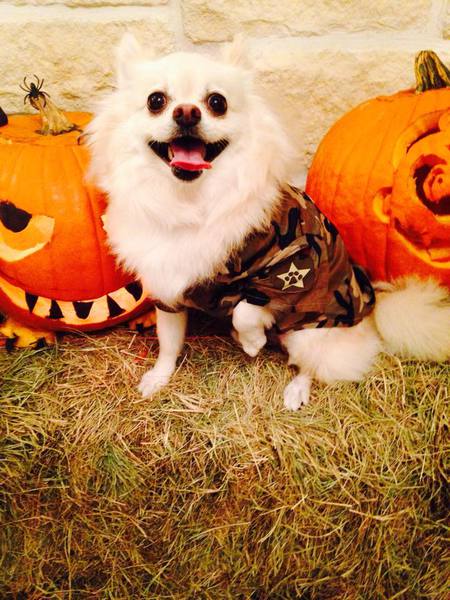 Sawyer