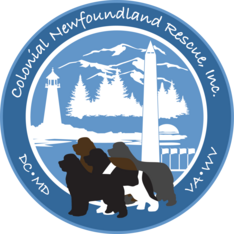 Logo for Colonial Newf Rescue Calendar Contest