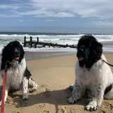 Entry image for Chance and Fred