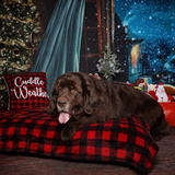 Entry image for Brandi