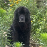 Entry image for Tucker